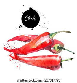 Chilli. Hand drawn watercolor painting on white background. Vector illustration