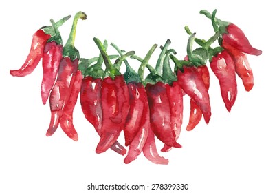 Chilli. Hand drawn watercolor painting on white background. Vector illustration