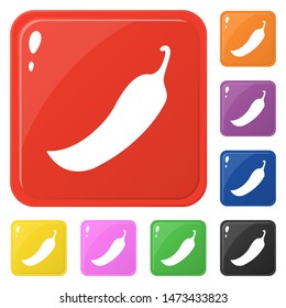 Chilli icons set 8 colors isolated on white. Collection of glossy square colorful buttons. Vector illustration for any design.