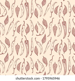 Chilli pepper. Botanical hand drawn illustration pattern. Herbs and Spices. Engraved style 