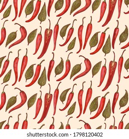 Chilli pepper. Botanical hand drawn illustration pattern. Herbs and Spices. Cartoon style 