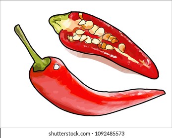 chilli pepper and chilli  cut half on a white background.vector illustration