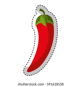 chilli pepper fresh vegetable isolated icon