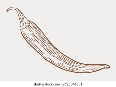 Chilli pepper hand drawn vegetable. Isolated vector drawing in brush engraved sketch style. Healthy food clip art. Design element illustration.