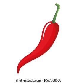 chilli pepper hot vegetable