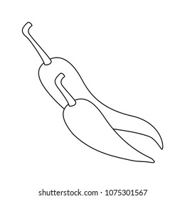 chilli pepper hot vegetable