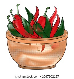 chilli pepper hot vegetable in vessel