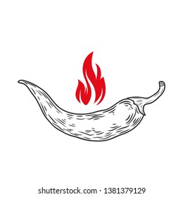 Chilli pepper isolated on white. Vector illustration.