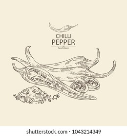 Chilli pepper: a piece of hot pepper, seeds and whole chilli pepper. Vector hand drawn illustration.