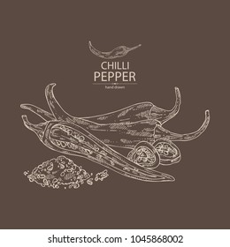 Chilli pepper: a piece of hot pepper, seeds and whole chilli pepper. Vector hand drawn illustration.