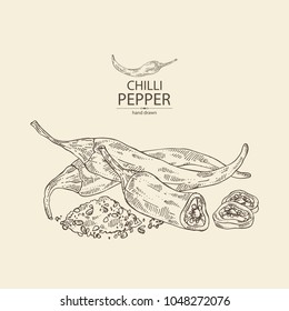 Chilli pepper: a piece of hot pepper, seeds and whole chilli pepper. Vector hand drawn illustration.