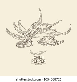 Chilli Pepper: A Piece Of Hot Pepper, Seeds And Whole Chilli Pepper. Vector Hand Drawn Illustration.