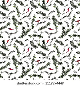 Chilli Pepper, Rosemary and Thyme Seamless Endless Vector Background. Fresh Green Herbs for Meat, Steak or Seafood Cooking. Hand Drawn Illustration. Doodle Style.