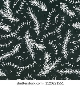 Chilli Pepper, Rosemary and Thyme Seamless Endless Vector Background. Fresh Green Herbs for Meat, Steak or Seafood Cooking. Hand Drawn Illustration. Doodle Style. Black Board Background and Chalk.