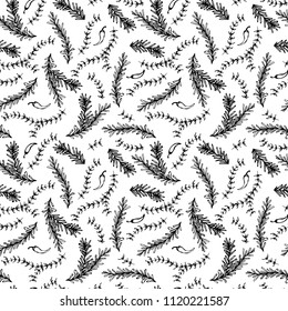 Chilli Pepper, Rosemary and Thyme Seamless Endless Vector Background. Fresh Green Herbs for Meat, Steak or Seafood Cooking. Hand Drawn Illustration. Doodle Style.