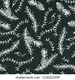 Chilli Pepper, Rosemary and Thyme Seamless Endless Vector Background. Fresh Green Herbs for Meat, Steak or Seafood Cooking. Hand Drawn Illustration. Doodle Style. Black Board Background and Chalk.