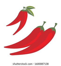 Chilli Pepper vector illustration with flat cartoon design, Fresh and New illustration