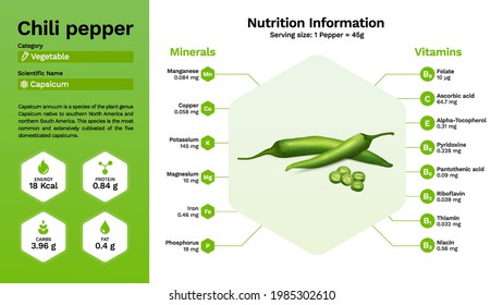 Chilli pepper vegetable and its nutritional properties - vector illustration