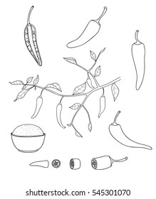 chilli peppers vector set line art illustration