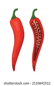 Chilli Red Fruit Vegetable Seasoning Vector