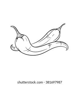 Chilli sketch hand drawn illustration isolated on white background - stock vector