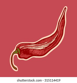 Chilli. Spicy spice. Vegetarian menu. Hand drawn. Vector illustration.