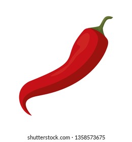 Chilli spicy vegetable isolated