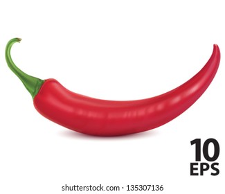 Chilli. Vector illustration