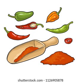 Chilli whole, half, slice and crushed pieces in wood scoop. Vector vintage color illustration. Isolated on white background. Hand drawn design element for menu, poster, label