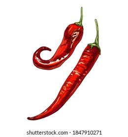 Chile entero. Ilustración de color de eclosión vectorial. Aislado sobre fondo blanco.