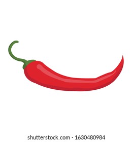chillie simple illustration vector clip art