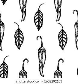 Chilly pepper. Seamless pattern. Fresh organic vegetable, hot pepper in engraved style.