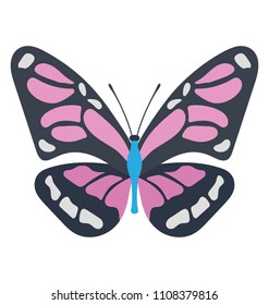 
Chimaera Birdwing Butterfly flat vector icon design
