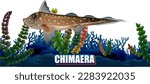 Chimaera Deep Sea Creature illustration
