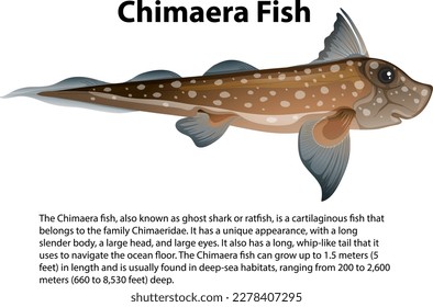 Chimaera Fish with Informative Text illustration