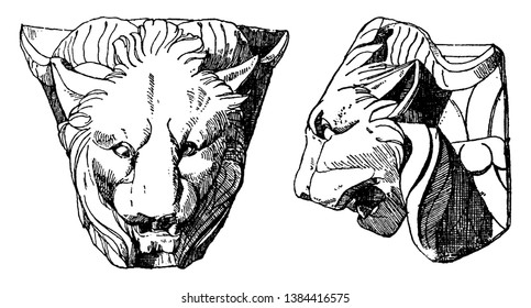 Chimaera Head is shown from its front and side view, it is found in the corner of an antique three-sided altar, vintage line drawing or engraving illustration.