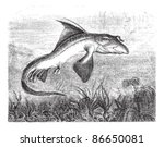 Chimaera monstrosa or Rabbit fish or Rat fish, vintage engraved illustration. Magasin Pittoresque 1874
