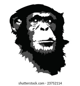 chimp vector