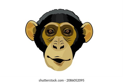 Chimpanzee ape head, isolated on white vector