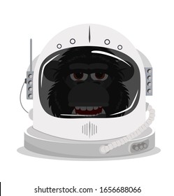 chimpanzee in an Astronaut space helmet 