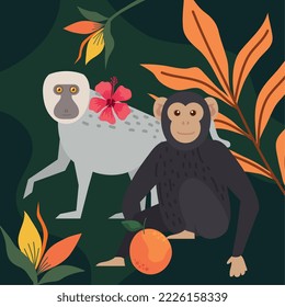 chimpanzee and baboon monkeys scene