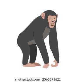 Chimpanzee cartoon clipart. Great ape chimpanzee or chimp vector illustration in flat style. Hand-drawn wild animal concept