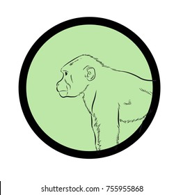 Chimpanzee Drawing Vector Illustration