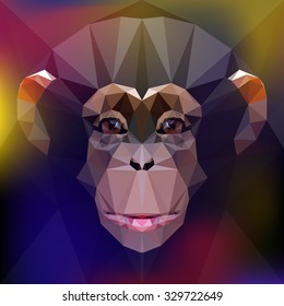 chimpanzee. face of a monkey. Symbol of new 2016 year