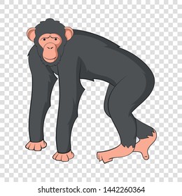 Chimpanzee icon. Cartoon illustration of chimpanzee vector icon for web