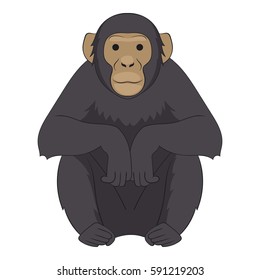 Chimpanzee icon. Cartoon illustration of chimpanzee vector icon for web