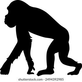 The chimpanzee icon isolated on white background