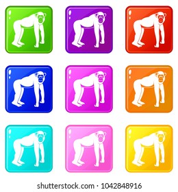 Chimpanzee icons of 9 color set isolated vector illustration
