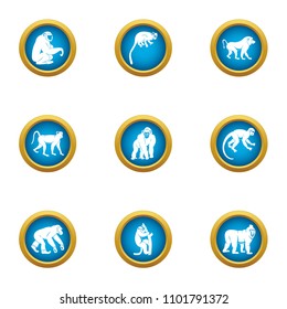 Chimpanzee icons set. Flat set of 9 chimpanzee vector icons for web isolated on white background