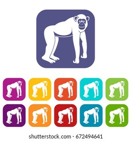 Chimpanzee icons set vector illustration in flat style In colors red, blue, green and other